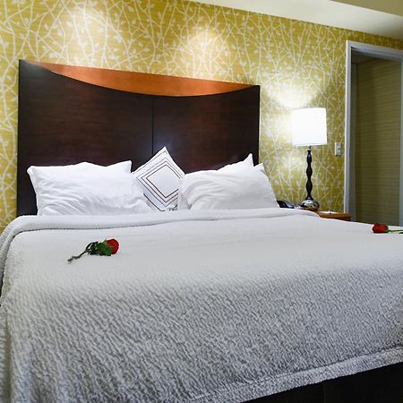 Fairfield Inn Hartford Airport Виндзор Локс Экстерьер фото